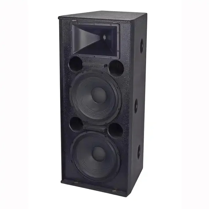 2026 2026 DS-215 15 Inch 1000W Peormance Stage Dual 15