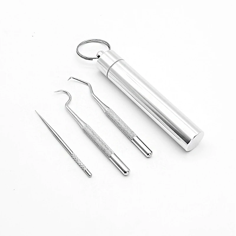 Pocket Toothpick Metal Travel Toothpick Portable Fruit Fork Tooth Cleaning Accessory