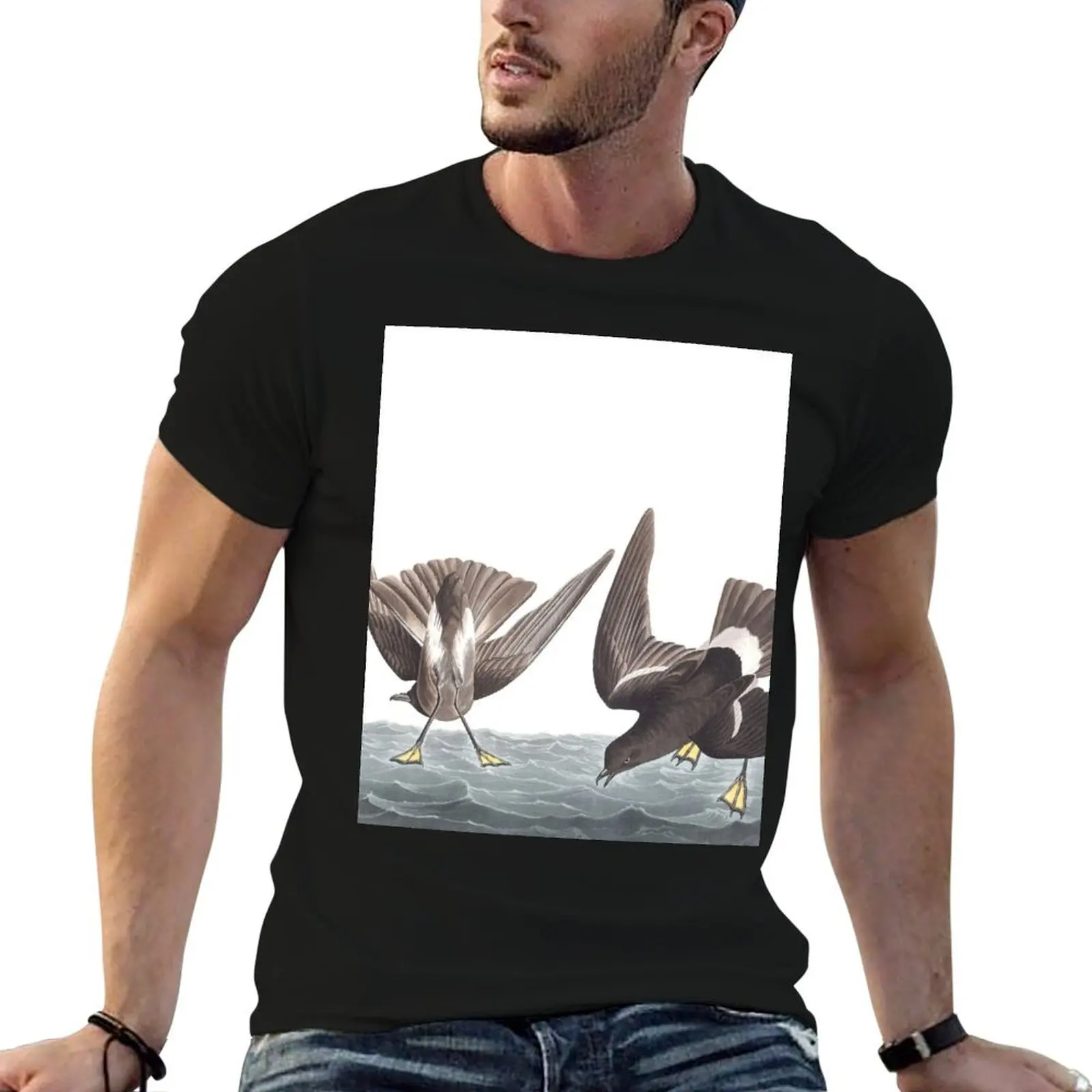 

T-Shirt cotton shirt Storm-Petrel t shirts personalised James Wilson's - t John Audubon 100%