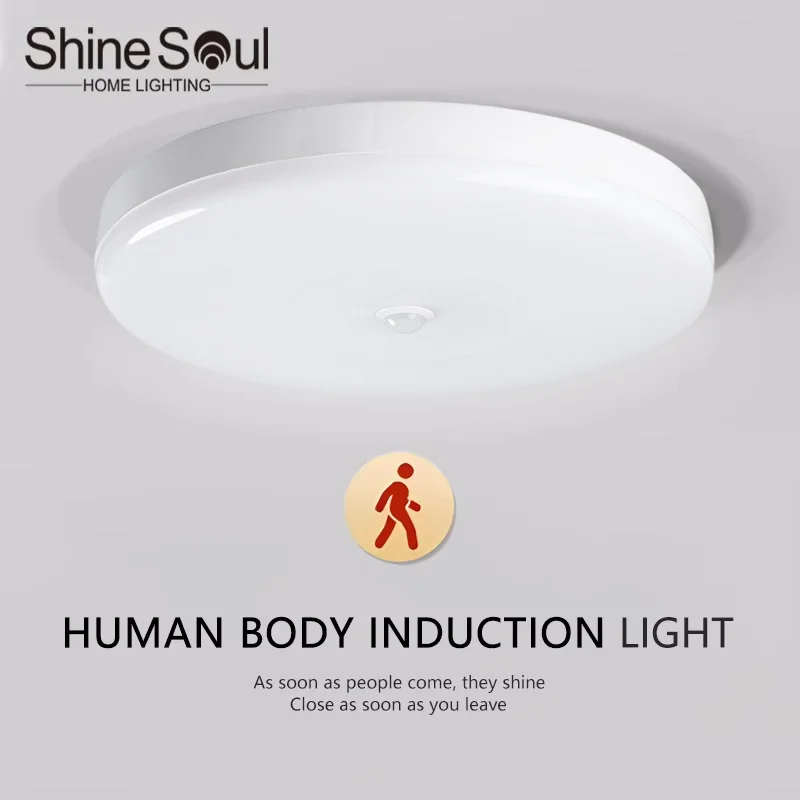 Induction Light LED Ceiling Light Human Infrared Induction Home Garage Attic Door Front Corridor Staircase Warehouse Light