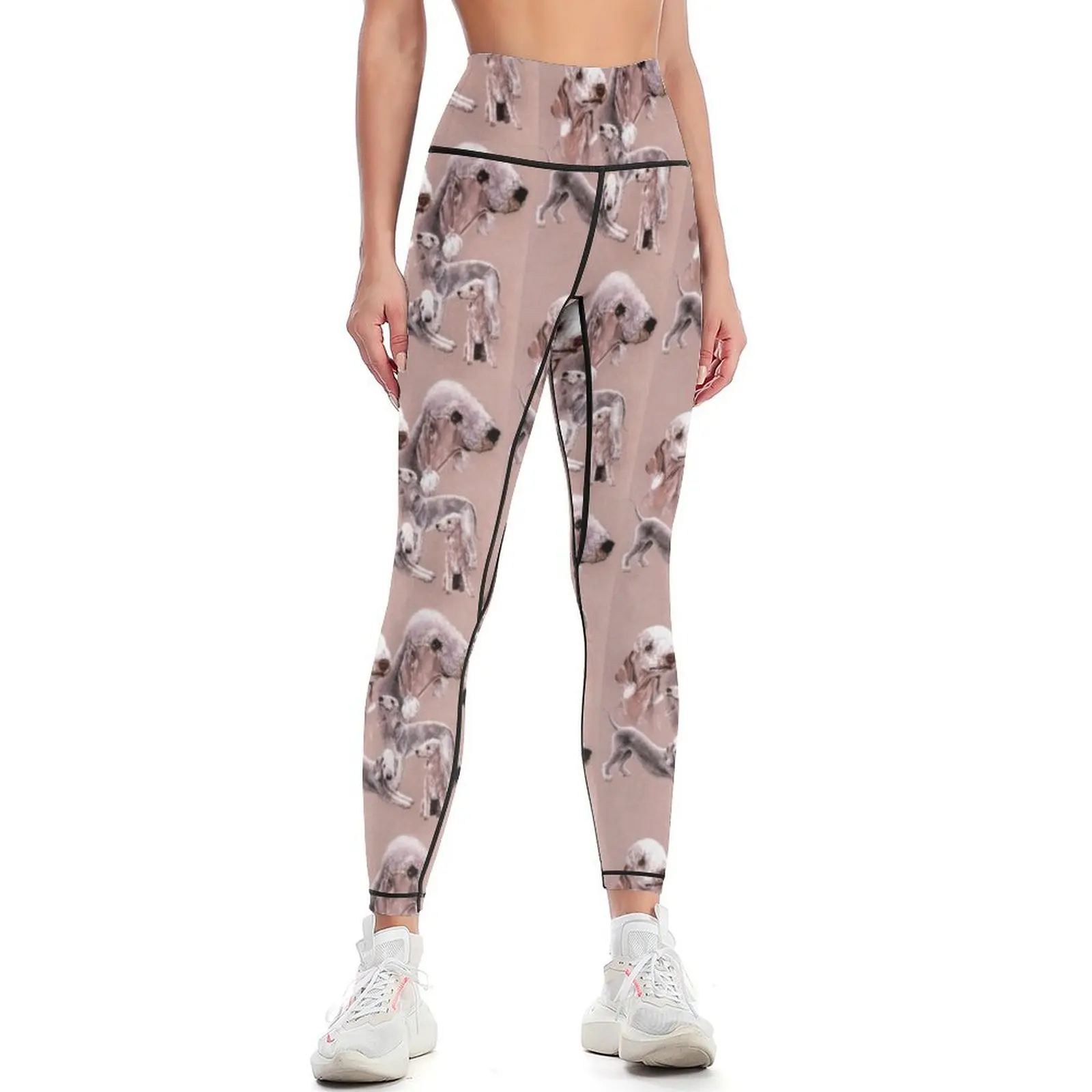 

Bedlington Terrier Gallimaufry Leggings exercise clothing for Women's gym Fitness's gym clothes high waist Womens Leggings