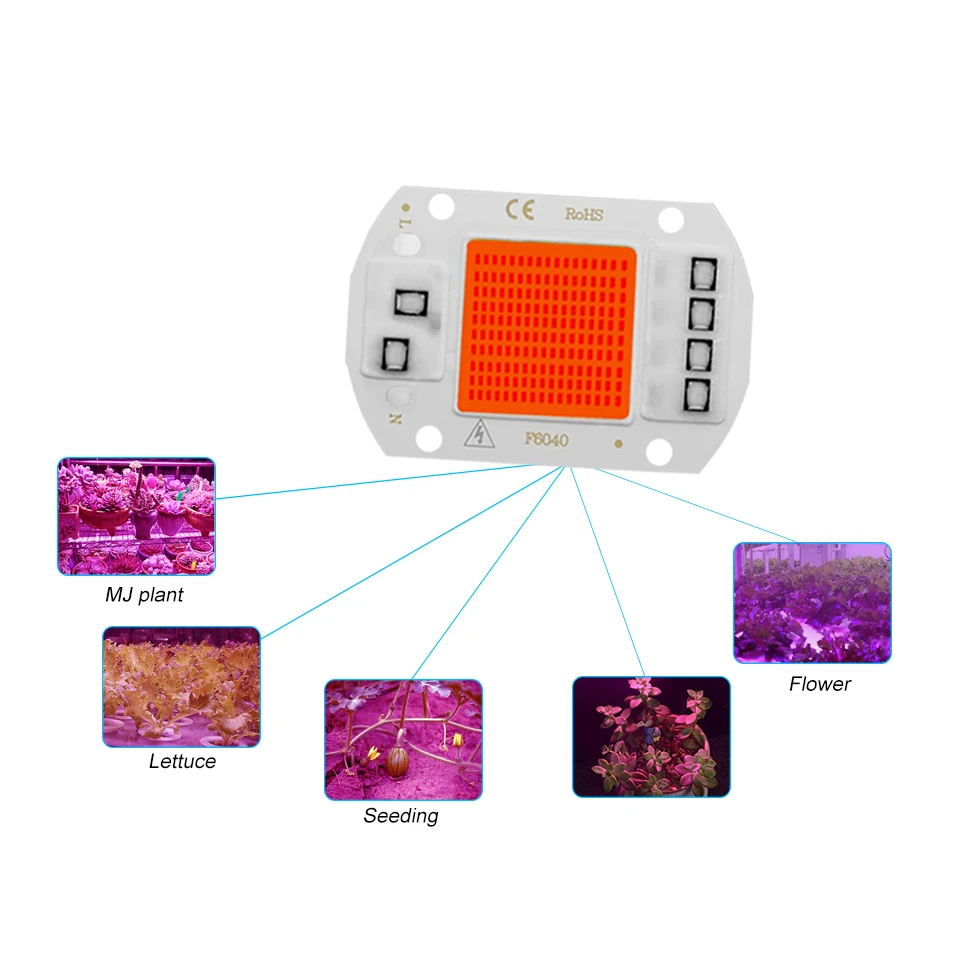 LED Chip di PANNOCCHIA Diodo AC 220V 10W 20W 30W 50W Coltiva La Luce Impianto Scatola Piena spettro di Smart IC Nessun Driver di Bisogno FAI DA TE