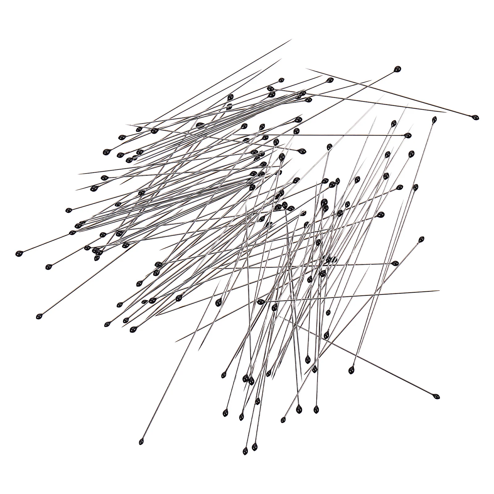 200Pcs Specimen Pins Stainless Steel Durable Pins for Entomology Pin Set Collector Needles Pin