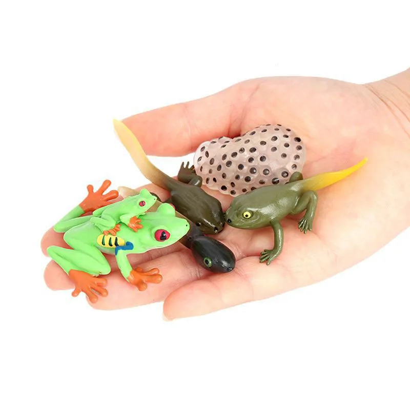 Latest Lifelike Animals Panda Moth Life Cycle Insect Penguin Frog Figurines DIY Action Figures Early Education Toys for Children