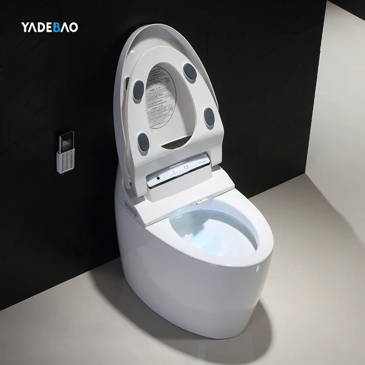 Factory Direct Sale Intelligent Toilet WC Ceramic Inodoro Sanitary Wares Toilet Bowl Bathroom Smart Toilet