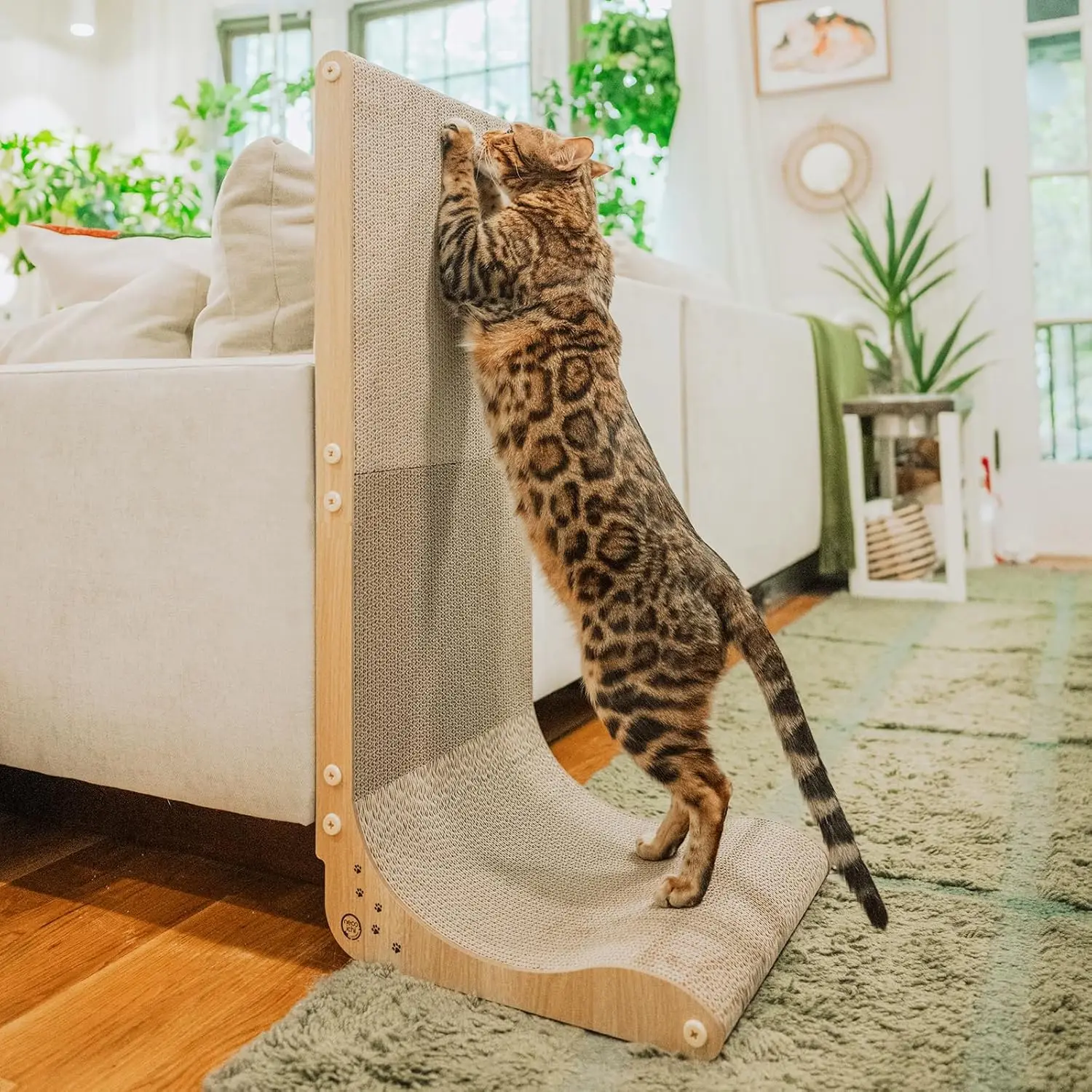 

Necoichi Cardboard Cat Scratcher Wall for Indoor Cats - Cat Scratching Board, Cat Scratch Pad Lounger with Reversible Us