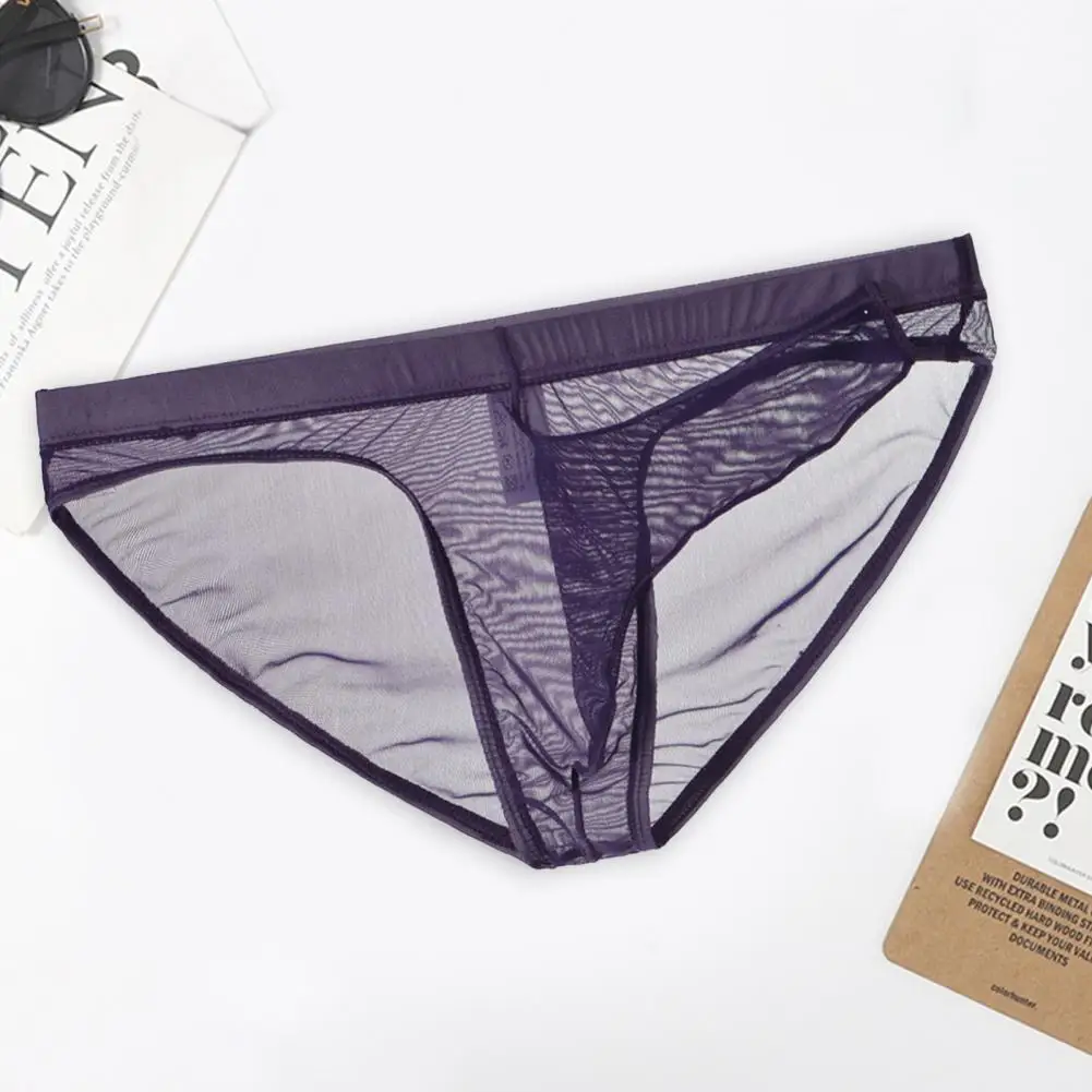 Low Rise 3D Elephant Nose Solid Color Men Briefs Sexy Transparent Net Yarn Panties