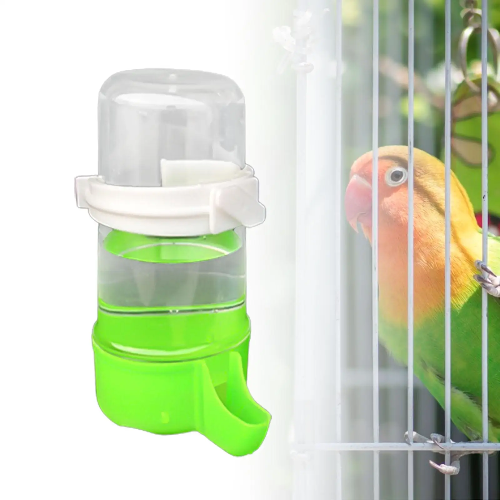 Vogel Waterer Dispenser Voor Kooi Vogel Drinkbak Feeder Waterfles Vogels Drinker Voor Papegaaien Valkparkiet