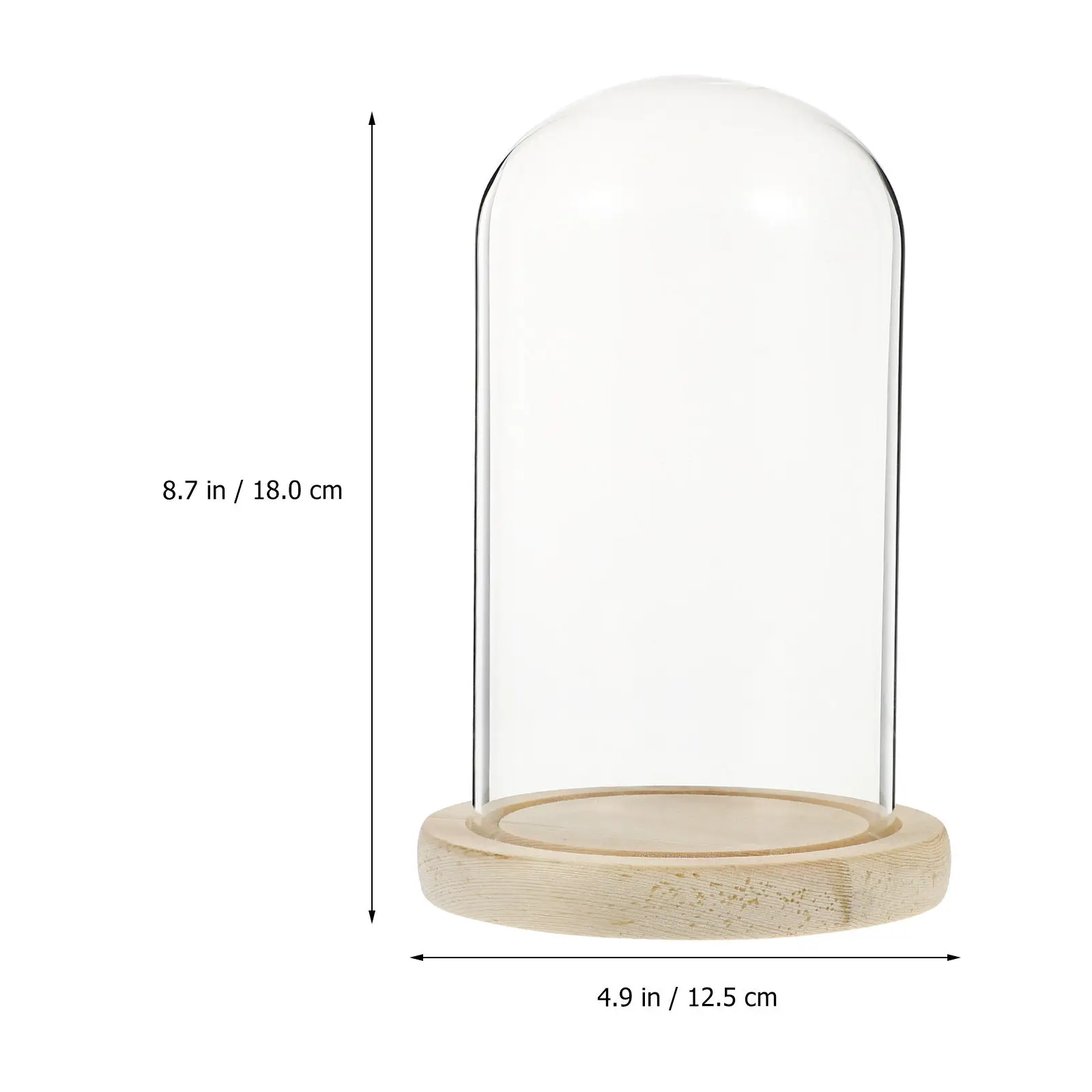 Preserved Flower Glass Dome Display Case with Wooden Base Dustproof Floral Decor for Living Room Bedroom Study