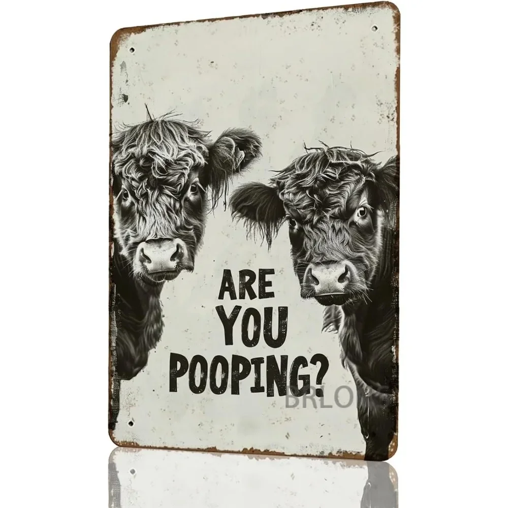 Metal Tin Sign Funny Highland Cow Are You Pooping Metal Sign Alumium Signs Vintage Signs For Home Bar Office Outdoor