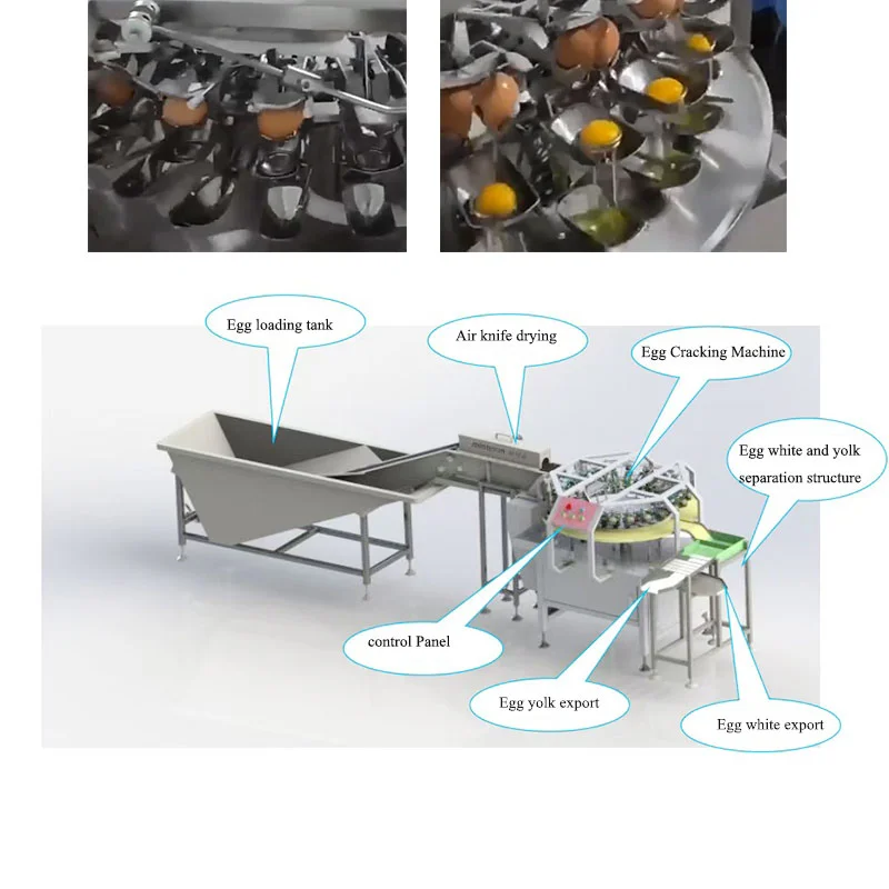High Quality Egg Beater Separator Egg Shell and Egg Yolk Cracking Separating Machine