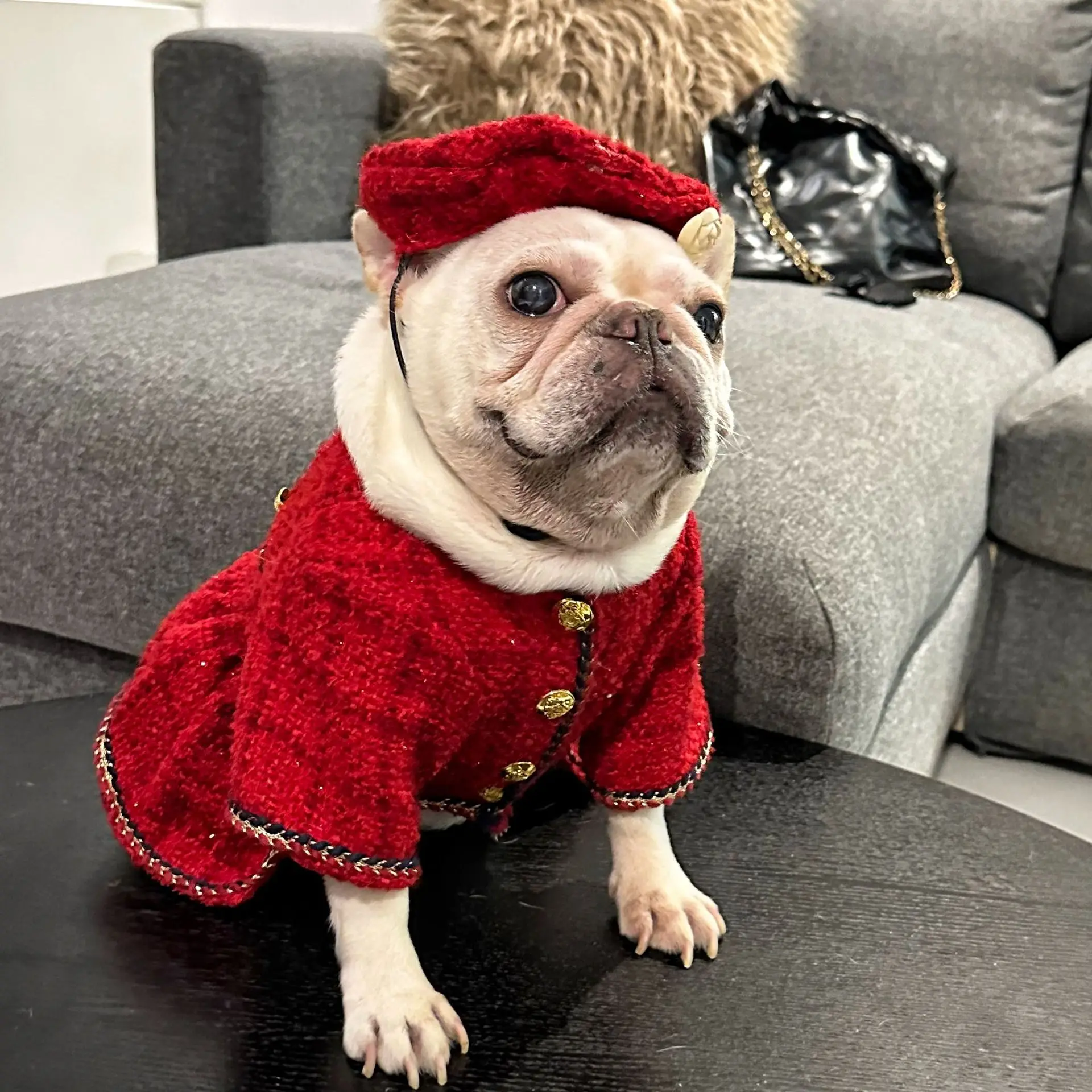 Winter New Pet Clothes Exquisite Dress And Hat Set Warm Dog Caot French Bulldog Schnauzer Small And Medium-Sized Dog Clothes