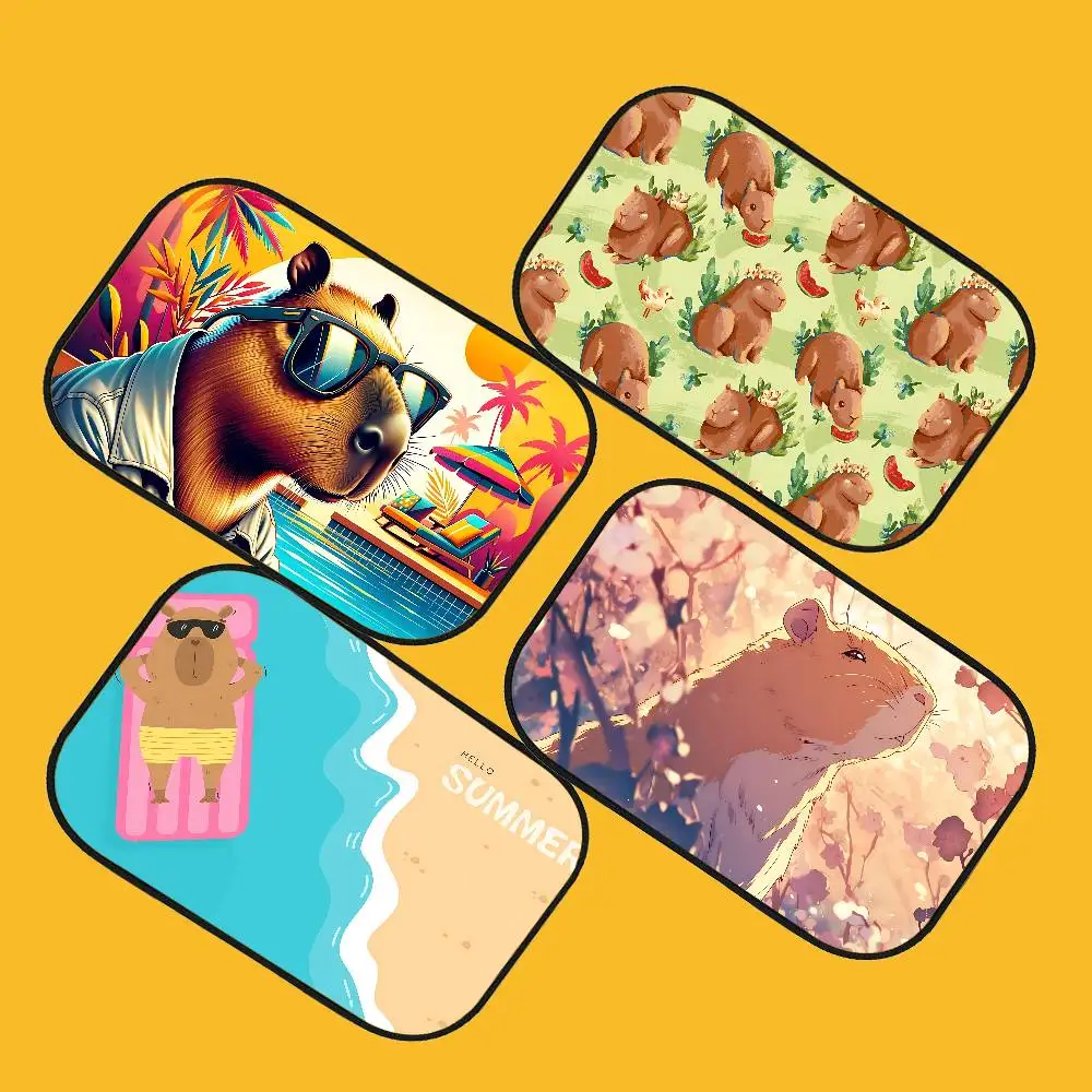 

Funny Capybara Floor Carpet Nordic Style Home Doormat Bathroom-Toilet Mats Bedroom Hotel Decor Mat