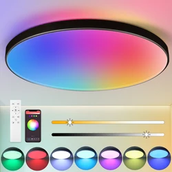Dimmable Ceiling Light Smart Wifi RGB Square Lamp LED For Living Room Corridor Garage Remote Control Top Lights Alexa Backlight