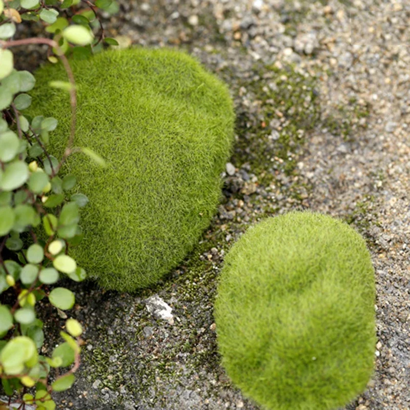 1PCS Ant Farm Mini Moss Stones Decoration Ecology Ant Nest Accessories Tool Pet Anthill for Ant House Micro-Landscape Decoration