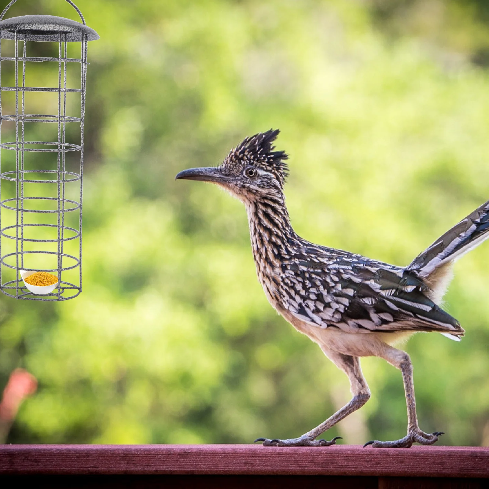 

1pc Bird Iron Durable Black Hanging Feeder For Garden Outdoor Birds Feeding Bowl Pets Supply Food Container Pigeon Feeder