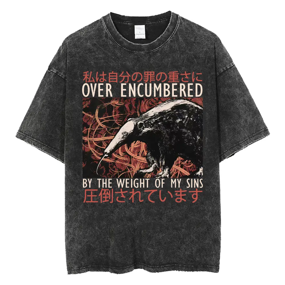 

Футболка с забавным мемом «Мы приговорены к гибели» с изображением павлина-паука, винтажная, в японском стиле, для мужчин и женщин, модная, оверсайз, с эффектом потертости, уличная одежда