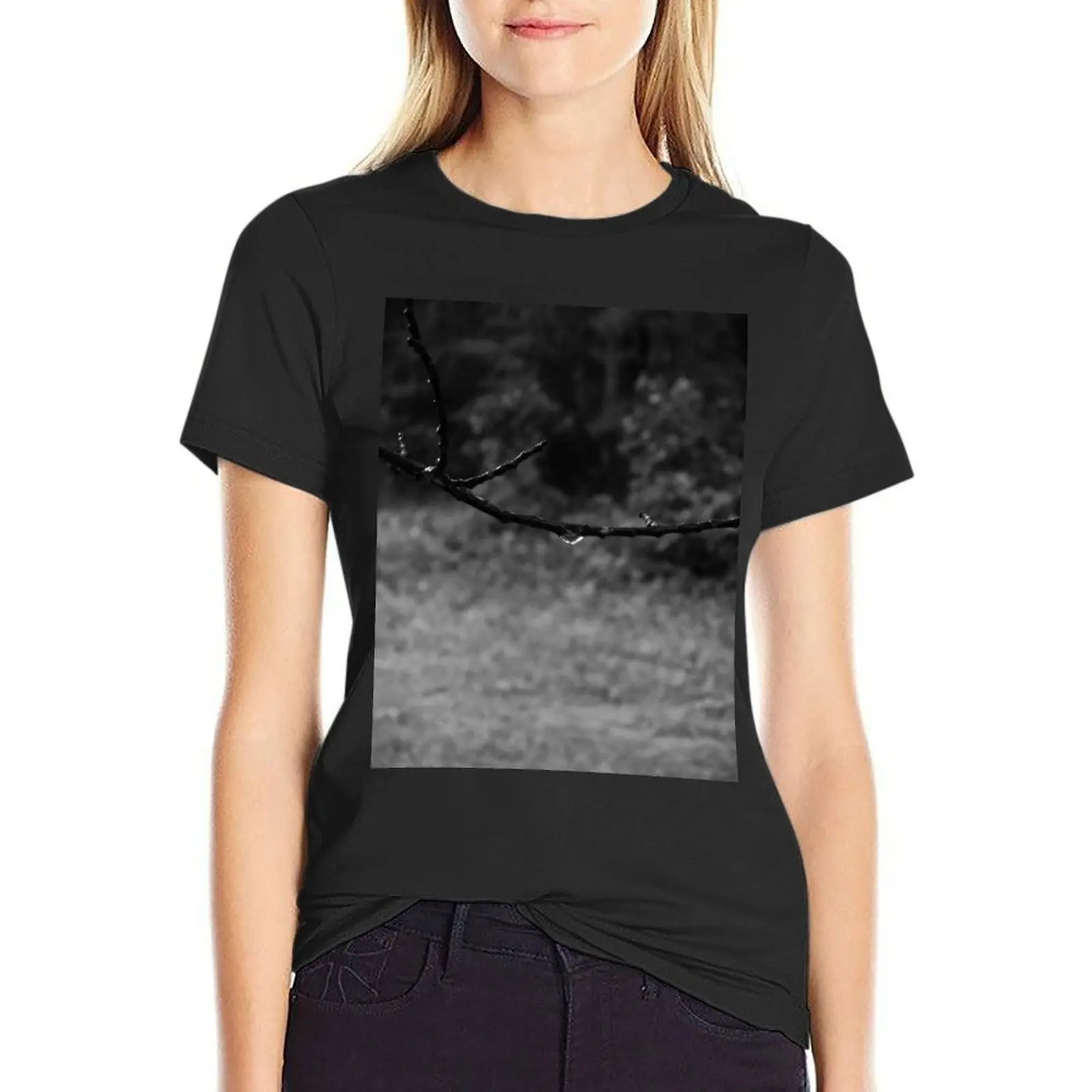 

Fragile ... T-Shirt anime clothes oversized luxury designer clothing Women