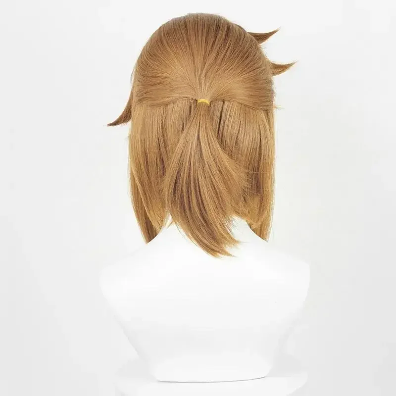 Anime Link Cosplay Wigs with Elf Ears Earrings for Halloween