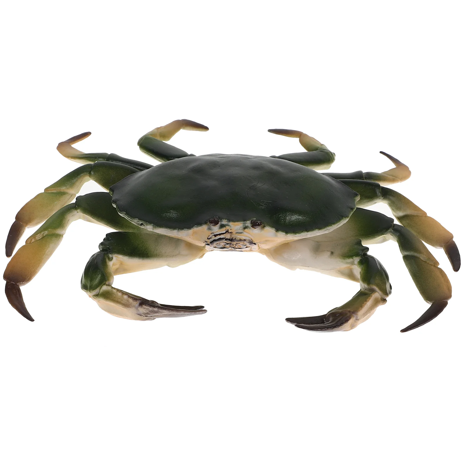 

Crab Appearance Design Animal Model Teaching Aids Vitality Scene Decor Artificial Ornament Plastic