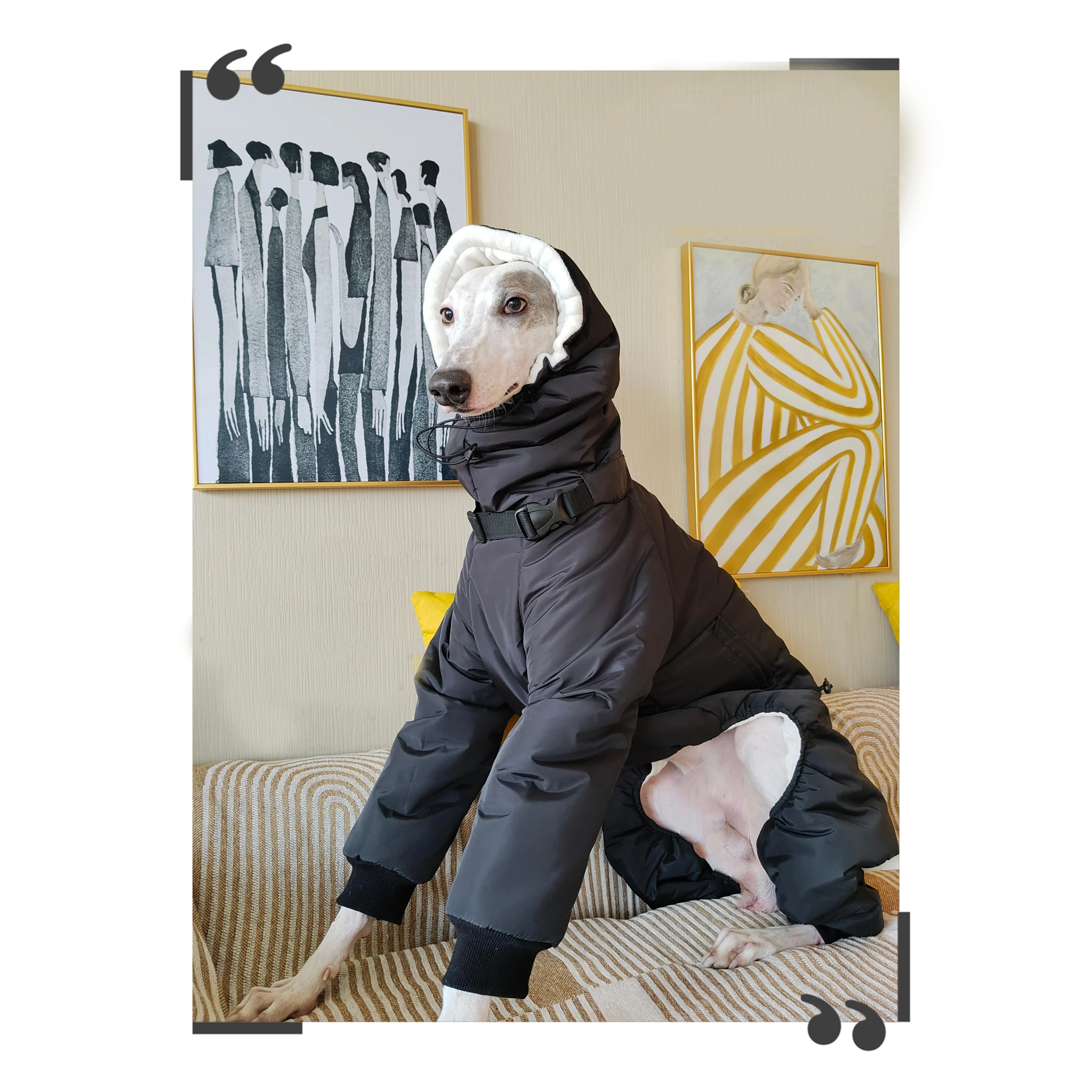 

Winter Super-thick Whippet Black Dog Clothes Quilted Turtle Collar Dog Coat Warm Italian Greyhound Adjustable Cotton Jacket