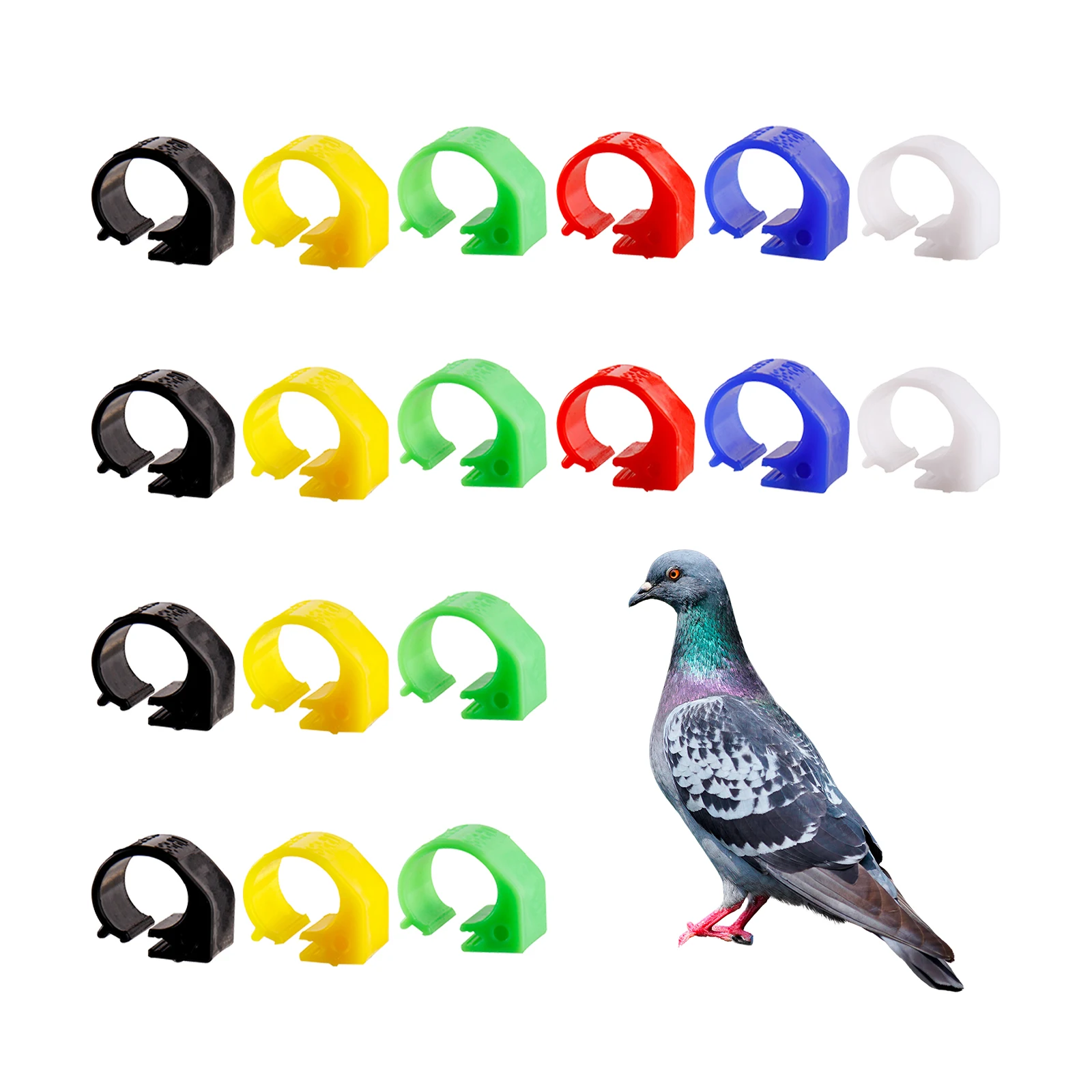 60 Pcs Pigeon Flight Marking Rings Without Words Solid Inner Diameter 8 Mm Racing Pigeon Training Marking Ring Bird Supplies