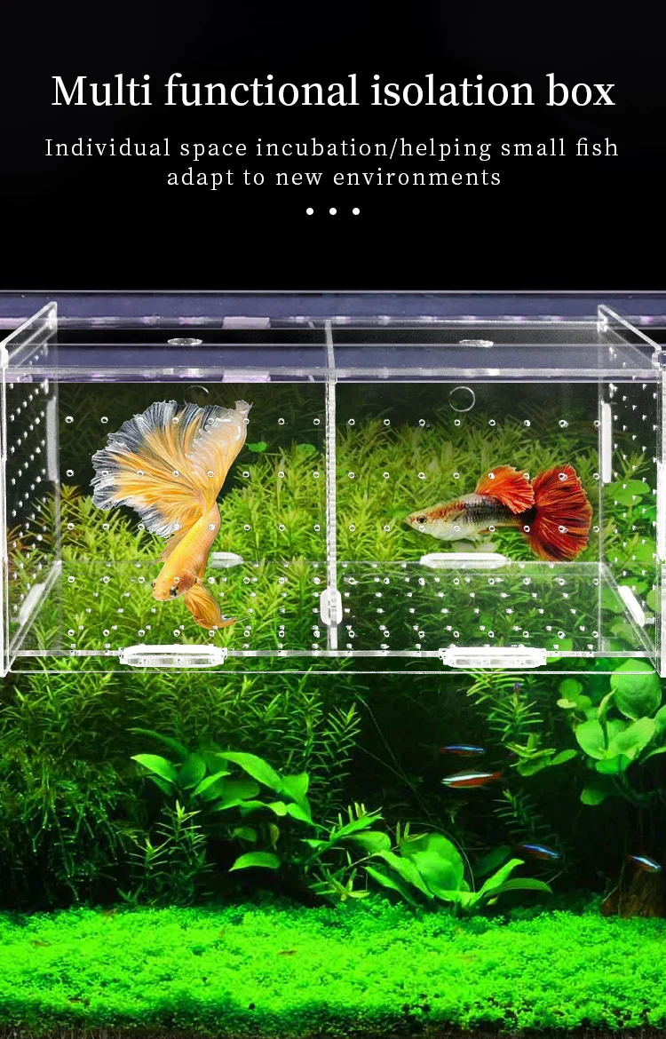 Hochtransparente Acryl-Fischisolationsbox, Mehrkammer-Kampffisch-Zuchtbox, Jungfisch-Brutkasten, Mehrzweck-Aquarium-Zucht- und Isolationsbox mit Saugnapf und Haken – Detail 1