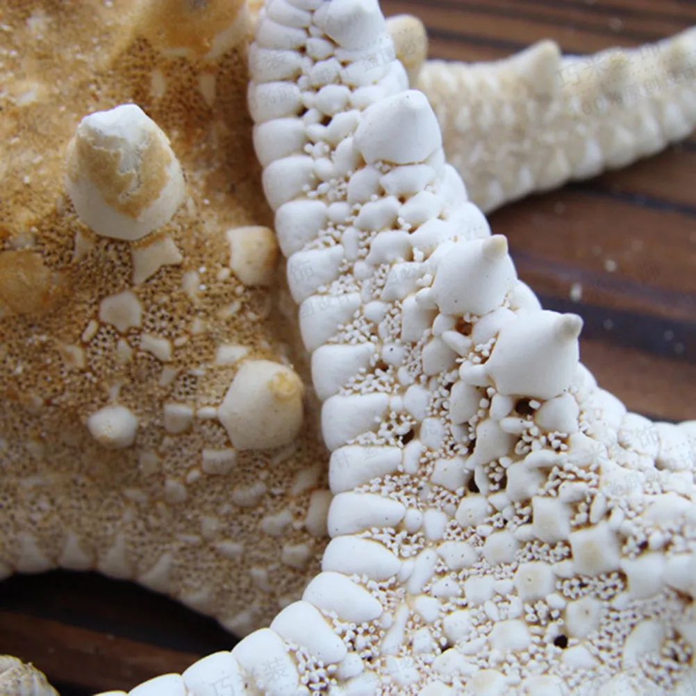 

2Pcs Sea Star Ornaments Natural Ocean Theme Decorations Wedding Home Party Craft Scatter Photo Props Coastal Room Decor