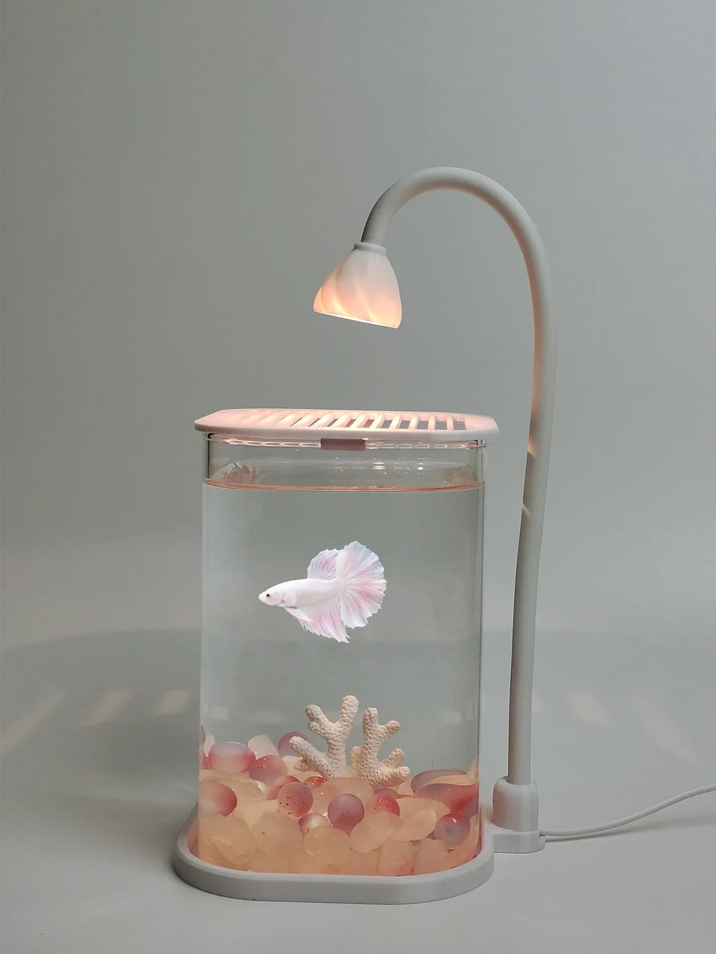 aquarium-de-bureau-carre-a-coins-arrondis-petit-aquarium-special-pour-poissons-de-combat