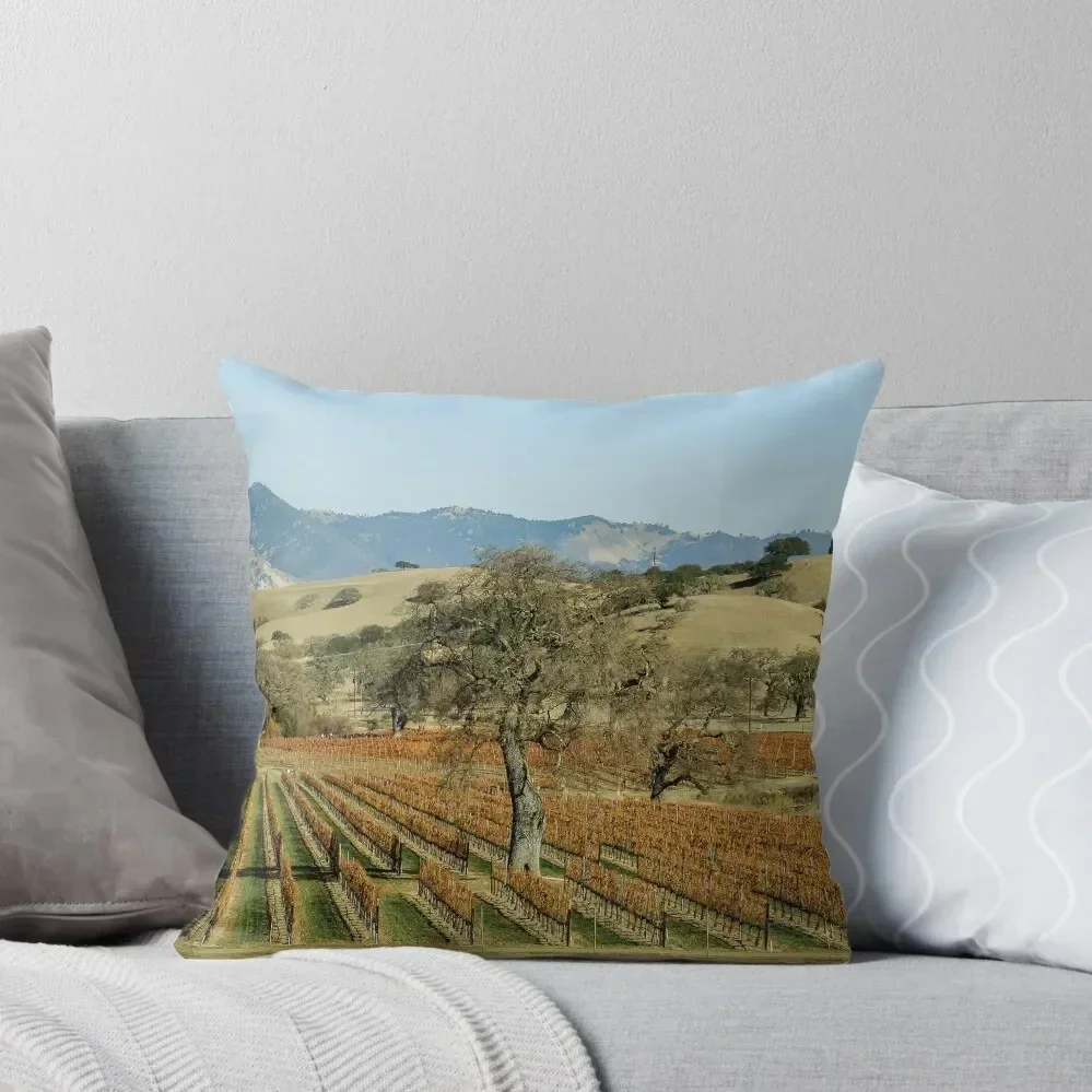 

Route 154 Throw Pillow Luxury Pillow Case luxury decor Christmas Throw Pillows Covers pillow