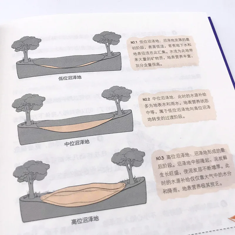 Libro de aventuras de crecimiento para niños, desarrollo de habilidades para niños, campamento de verano, lectura recomendada, libros de cuentos de aventura para niños