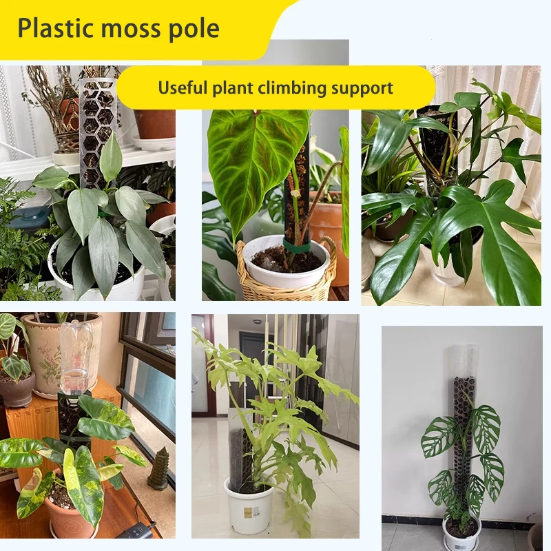 3er-Set Moosstangen für Zimmerpflanzen – Kletterhilfen und Pflanzenstützen für Monstera – Moosstäbe für Pflanzenwachstum – Gartenzubehör – Detail 16