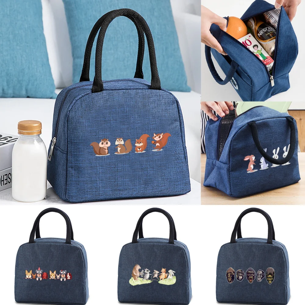 

Insulated Lunch Bag for Women Cooler Bag Portable Lunch Box Ice Pack Tote Kids Picnic Bags Food Bags for Work Cartoon Pattern