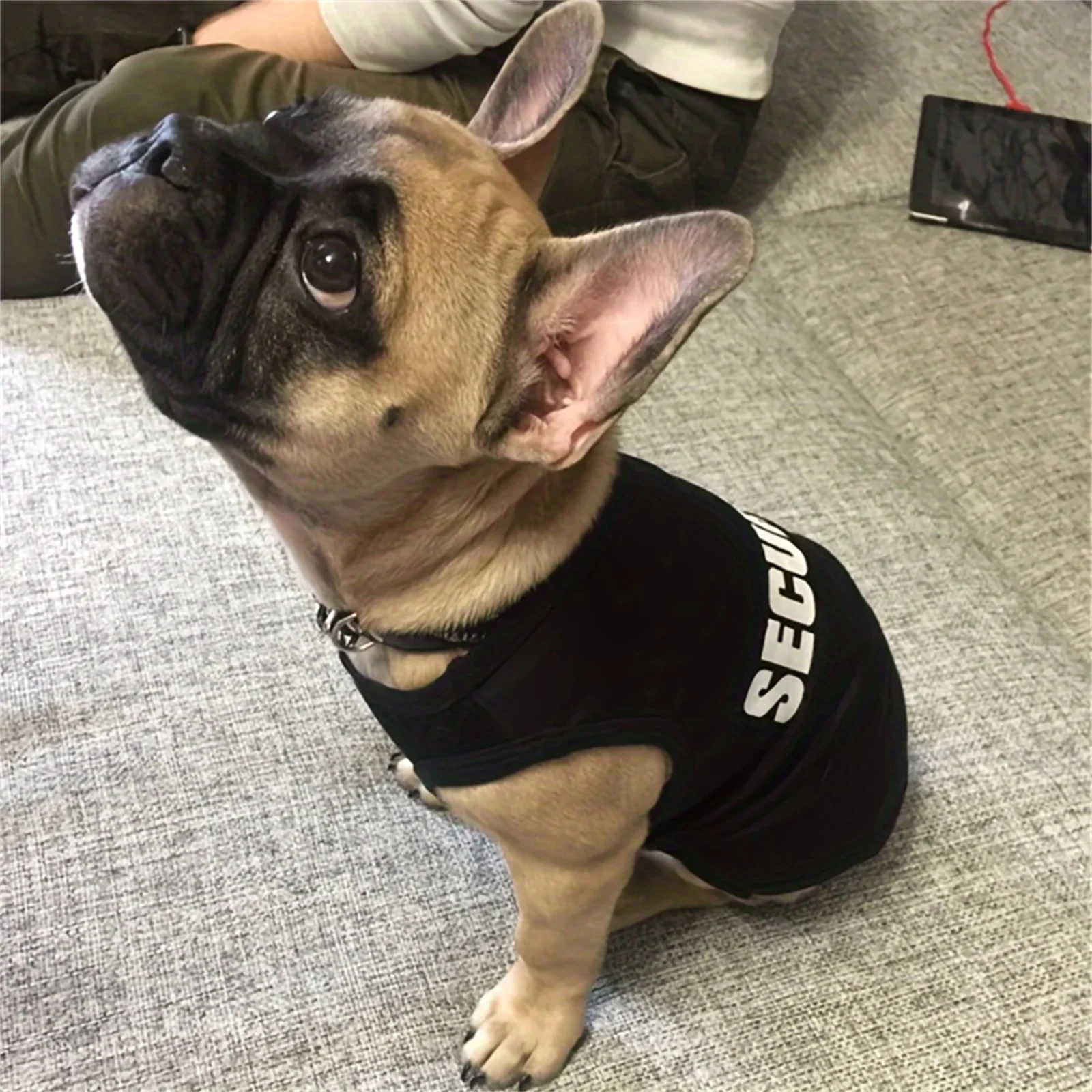 ملابس الأمن للكلاب الصيف ملابس الحيوانات الأليفة سترة للكلاب الصغيرة تشيهواهوا يوركشاير جرو القطط السعر المنخفض الحيوانات الأليفة تي شيرت زي #6