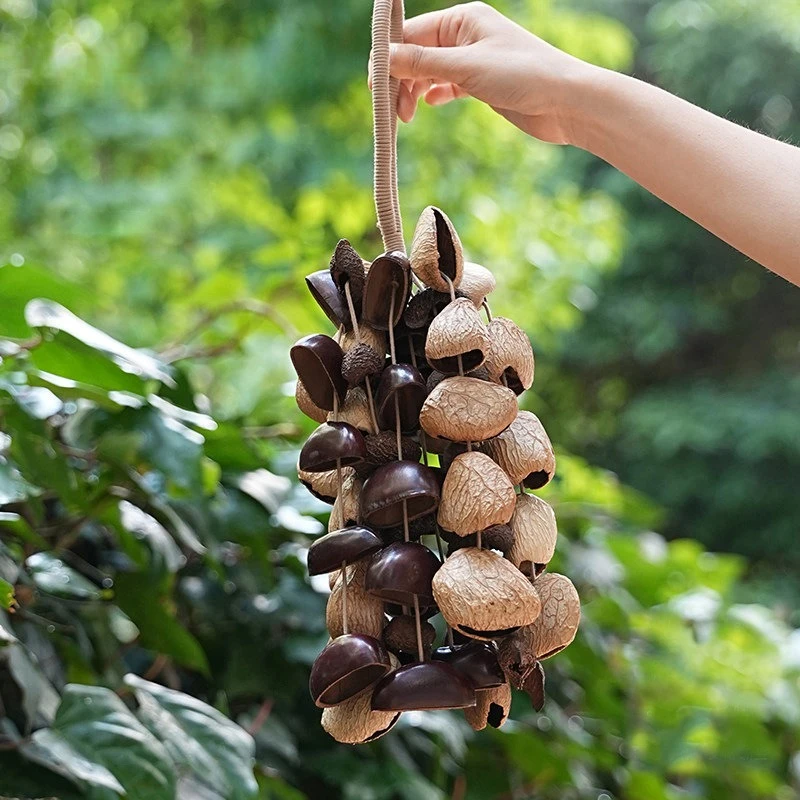 Nut Shell Wind Bell Sound Heal - Musical Instrument Chimes recension och pris