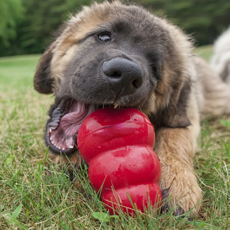 Classic Dog Toy, Durable Natural Rubber- Fun to Chew, Chase and Fetch - for Dogs