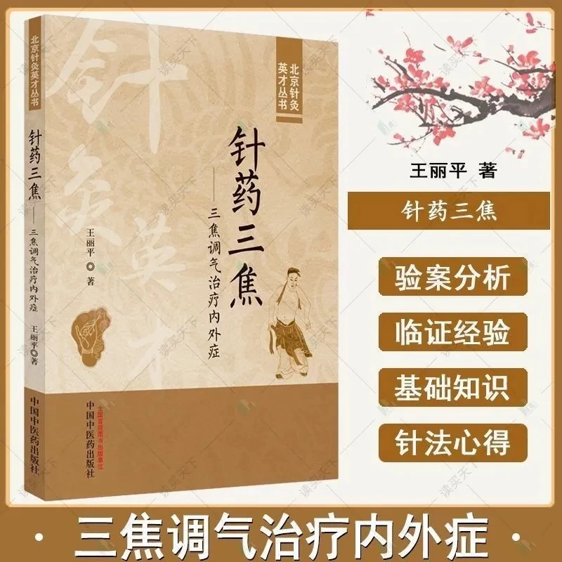 Sanjiao Qi Regulation Therapy: Treating Internal & External Diseases with Acupuncture & Herbs