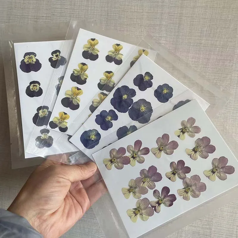 3CM/12&24PCS Real Natural Dried Pressed Pansy Flowers Petal,Dry Press Sweet violet Flower DIY  For Epoxy Resin,Invitation Card