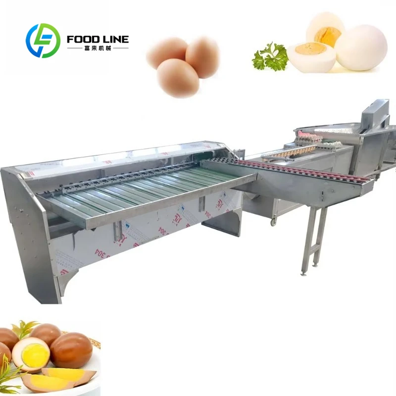 Máquina Clasificadora de Huevos de Alta Velocidad Personalizada, Lavadora de Huevos, Clasificadora Eficiente para Granjas Avícolas, Clasificadora de Huevos