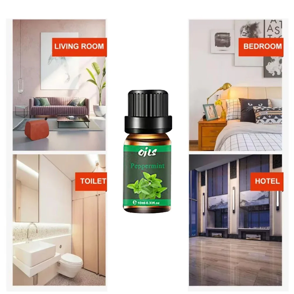 6-Piece Essential Oil Set for Aromatherapy Diffuser - Eucalyptus, Vanilla, Citronella, Lemongrass, Rosemary, Peppermint