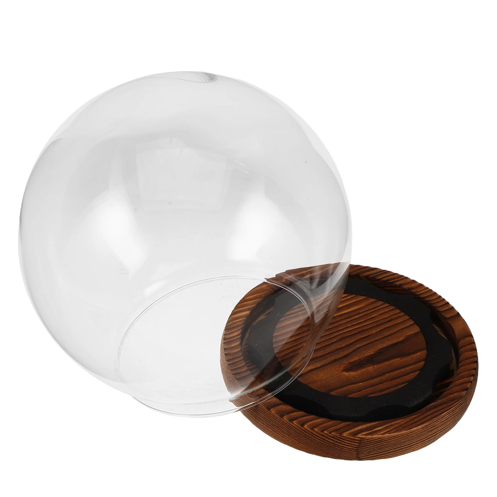 

Round Glass Dome Base Transparent Cloche Display Case Preserved Flowers Elegant Home Office Decor Glass Dome Flower Display Case