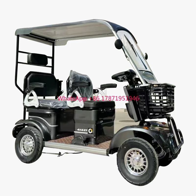 Factory Customized High Quality tricycle adult electric 4 wheel electric club car ds with roof