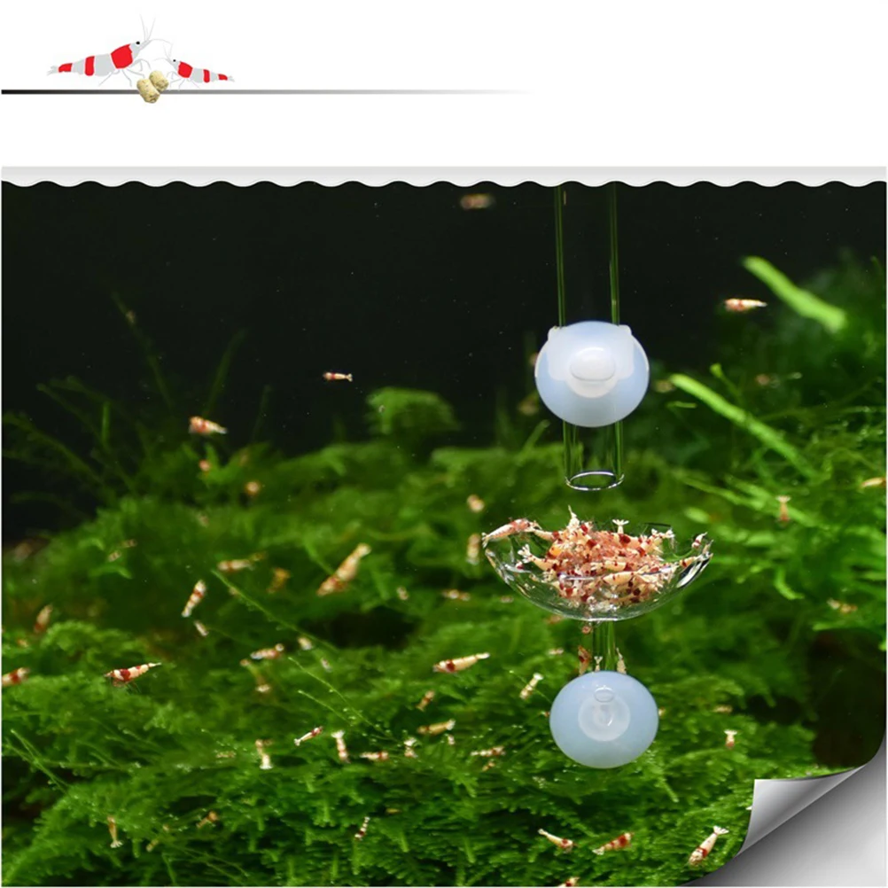 

Shrimp Feeder Tray Acrylic 20Cm Feeder Tube Integrated Feeding Holder Tank Mount Easy Clean Shrimp Feeding Tube