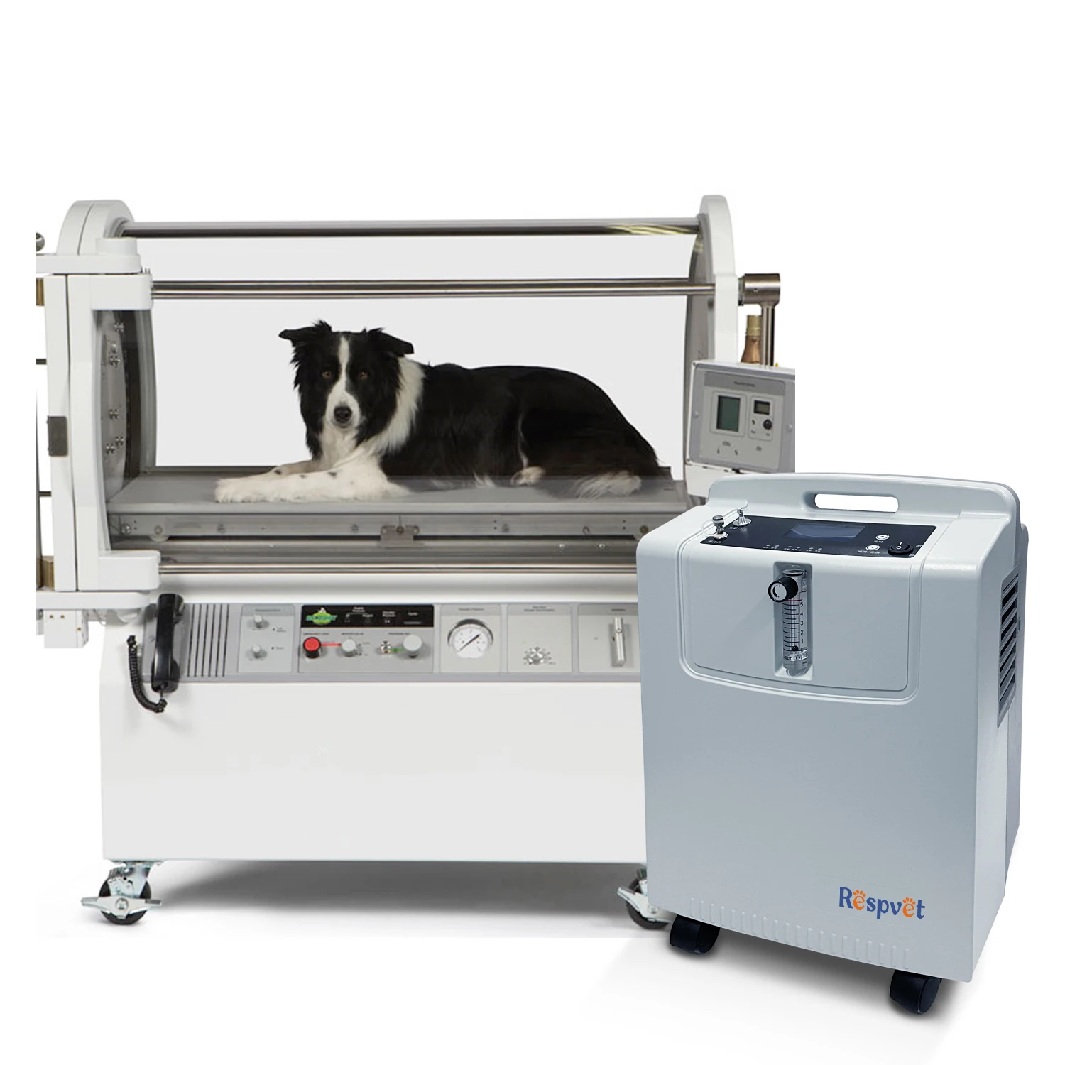 5L Veterinary Concentrator for Pet  Chamber Animal Therapy Cages Canine O2 Tent for Pet