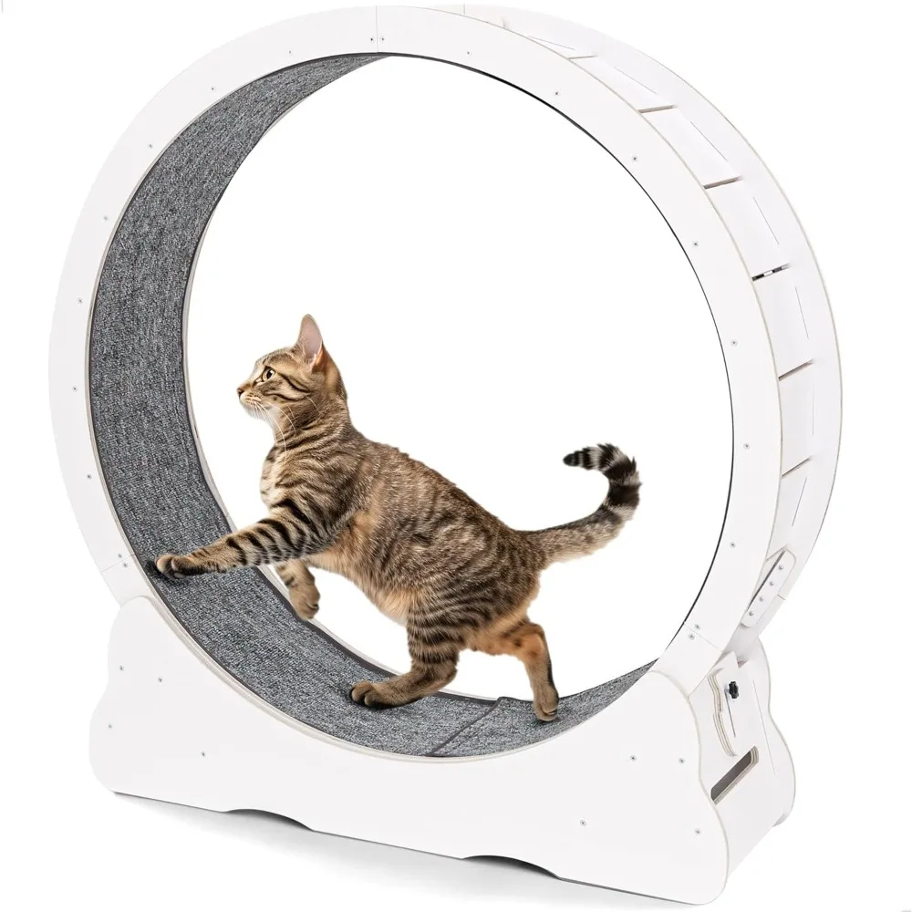 

Cat Wheel for Indoor Cats, Large Quiet Exercise Running Wheel with Detachable Carpeted Runway, 35.8” Cat Treadmill for Pet’s
