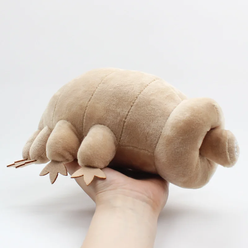 

Soft Educational Gift for Children 25cm Cute Tardigrade Plush Doll Water Bear Stuffed Animal Science Learning Toy