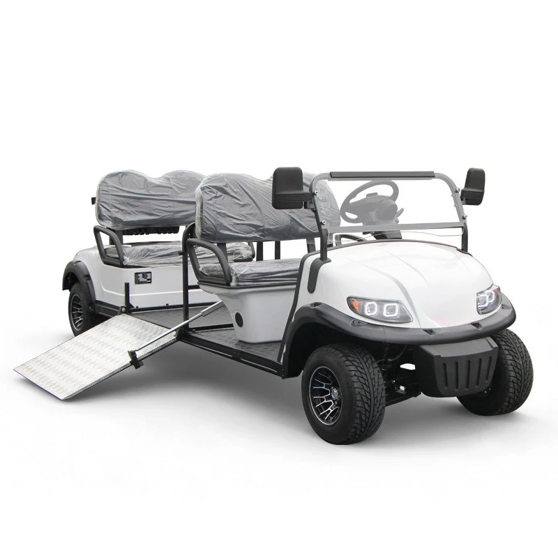 Disabled sightseeing car, barrier-free car, scenic airport shuttle bus