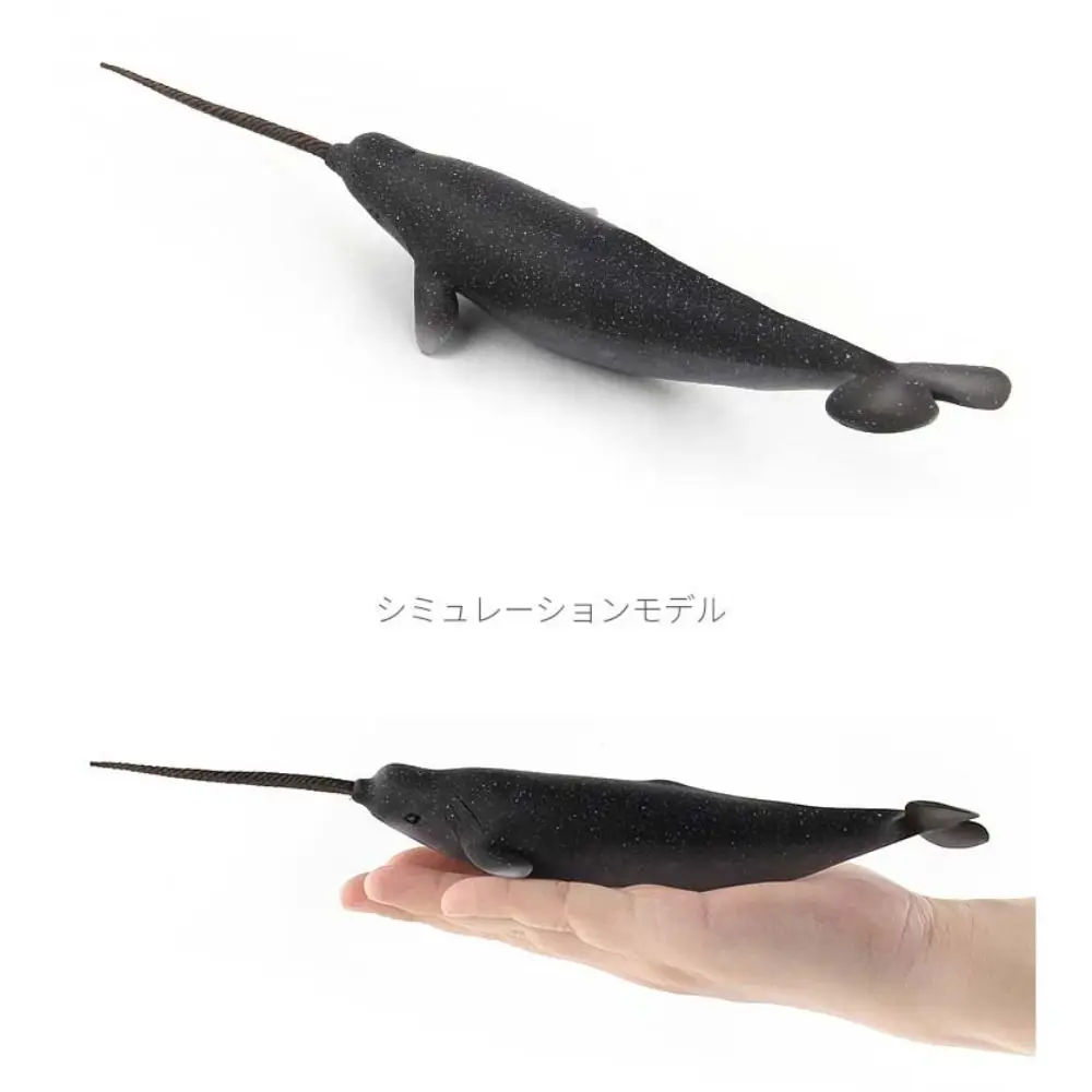 Simulation d'animaux marins, modèle de baleine sperme, baleine biologique sous-marine, Figurines éducatives en PVC solide, jouet pour enfants