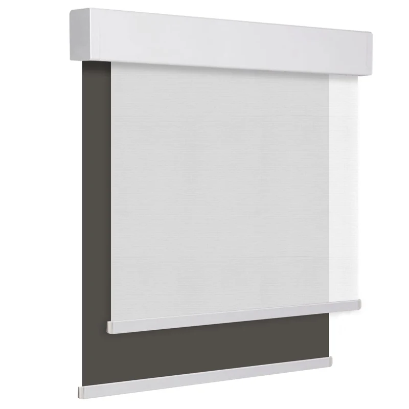 xx-Curtains,Double-Layer Motorised Roll Up Curtain Blackout Sunscreen Fabric Day And Night Smart Dual Window Roller Blind#