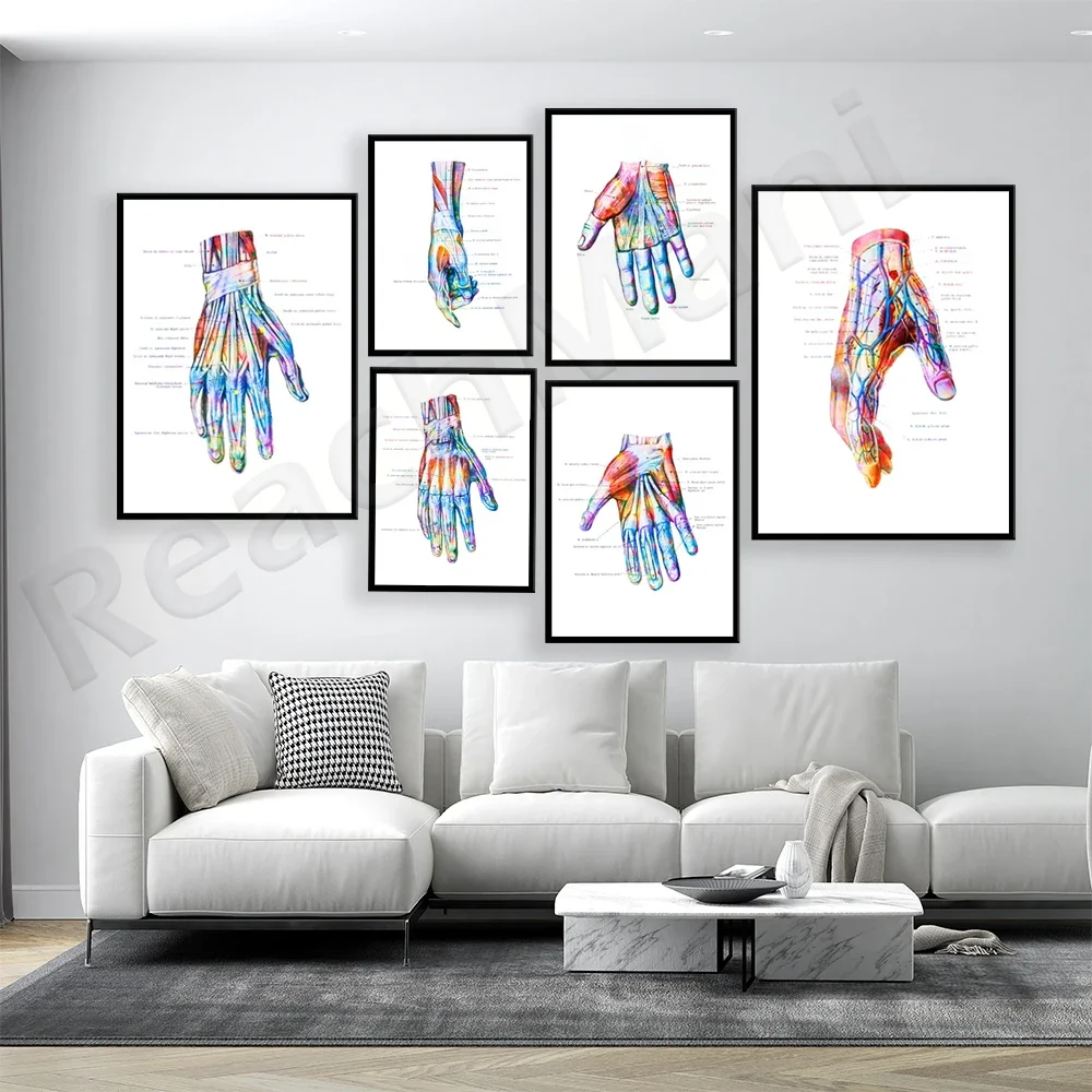 Hand Anatomy, Wrist Muscles and Ligaments Print Chiropractor Hand Surgery Gift Medical Poster Clinic Decoration Orthopedic Gift